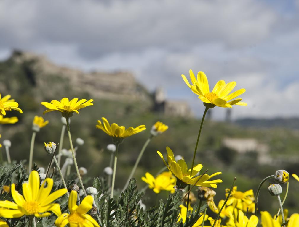 Casa Vacanza Cicirello Giardini Naxos Quarto foto